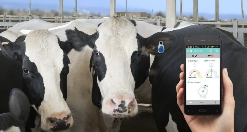 Día Mundial de la Zoonosis: ¿cuál es su impacto en la sociedad?