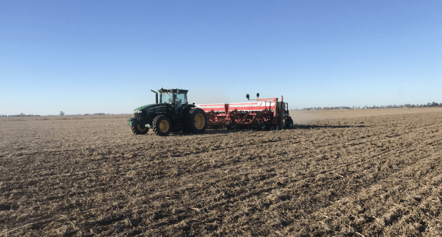 Con el trigo también: los productores sostienen la intención de usar tratamientos biológicos en semillas