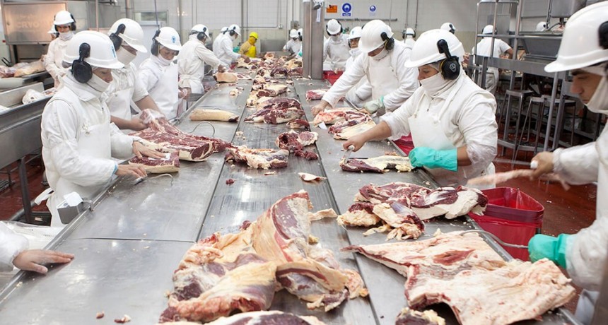 Exportaciones de carne: expectativa ganadera y frigorífica tras un reajuste en las estimaciones del USDA
