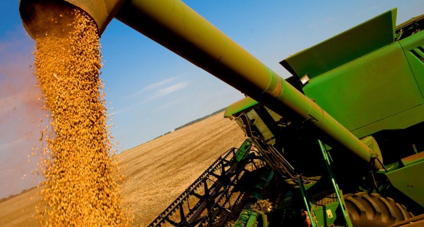 Las cosechas récord en todo el mundo presionan a la baja los precios de los principales granos