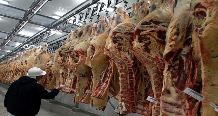 En alerta por la caída en la faena, la industria frigorífica reclama medidas contra la informalidad