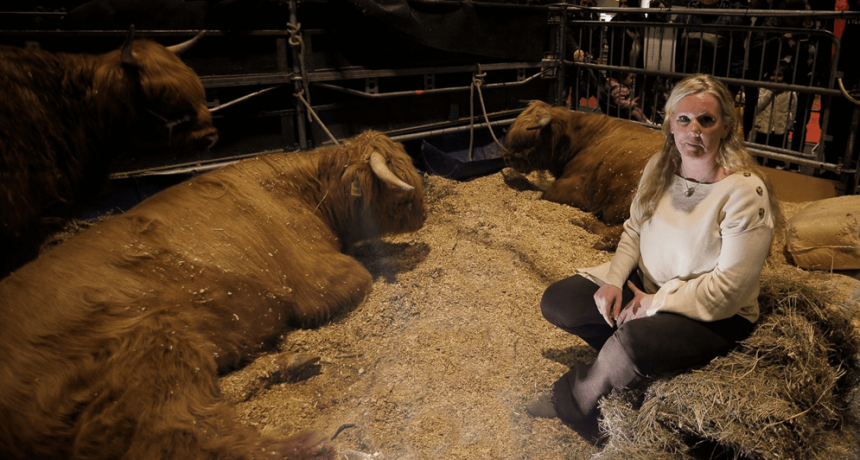 Razas y animales únicos en Argentina y el mundo: 5 curiosidades para ver en La Rural 2024