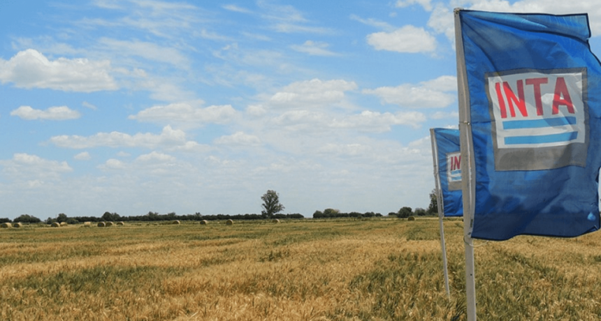 “El INTA no debe ser reducido, porque es parte de la solución para volver a hacer grande a la Argentina”