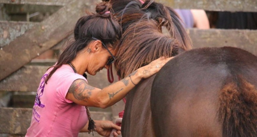 Eugenia, una “domadora” de la vida que busca “devolverles a los caballos todo lo que han hecho en mí”