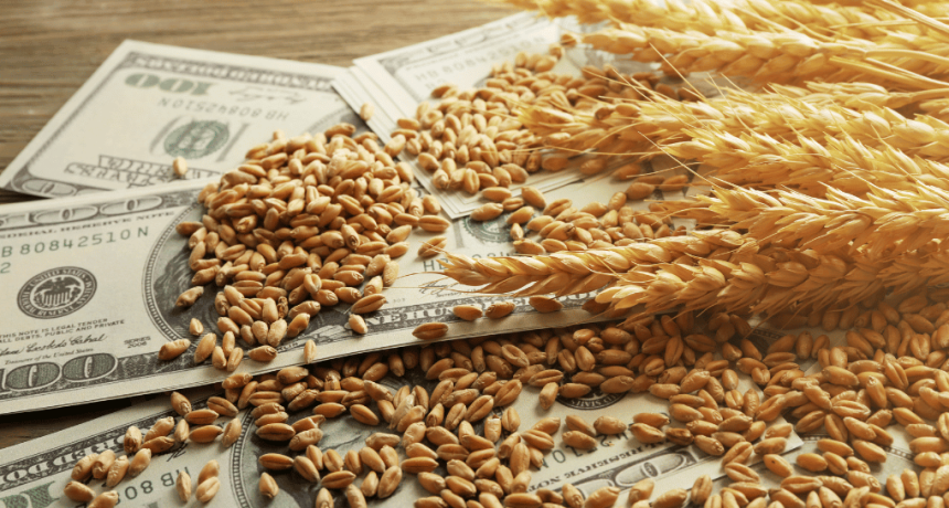Radiograf&iacute;a del agro: cadenas exportadoras muestran una fuerte expansi&oacute;n durante 2026