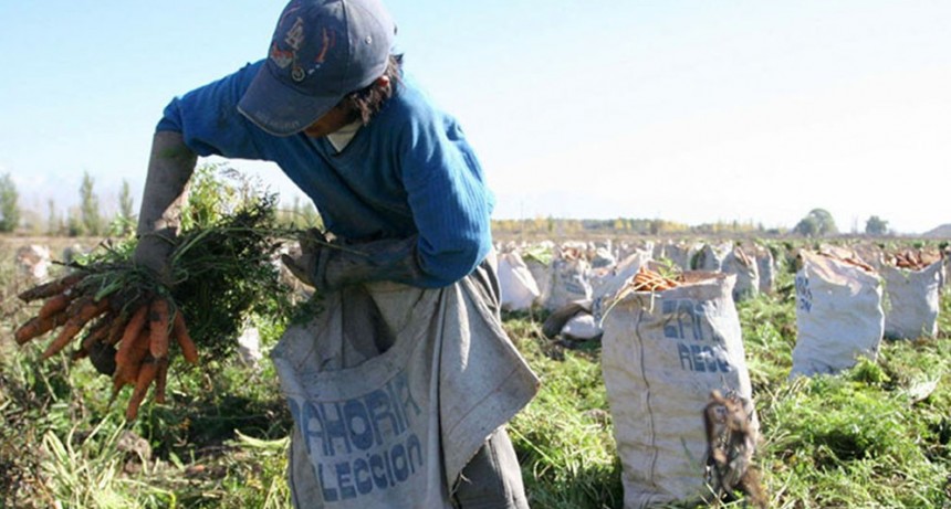 Aumento salarial 2021: cu&aacute;nto cobrar&aacute; el pe&oacute;n rural partir de agosto