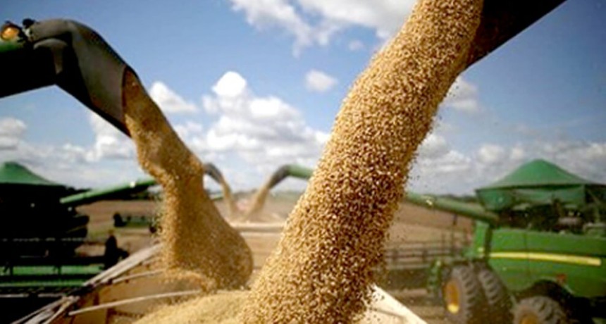 AFIP recaudó $451 mil millones en el primer semestre por retenciones