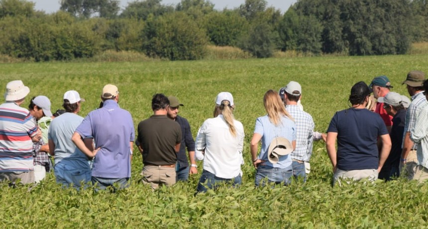 Aumenta el pesimismo en las empresas agropecuarias y los ganaderos son los más desanimados