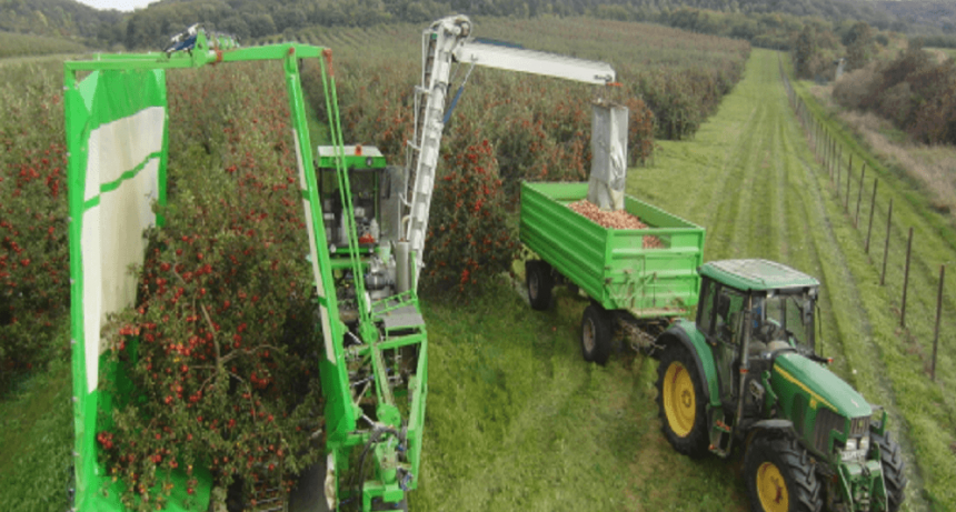 Crearon una cosechadora que “agita árboles” para sacar las frutas