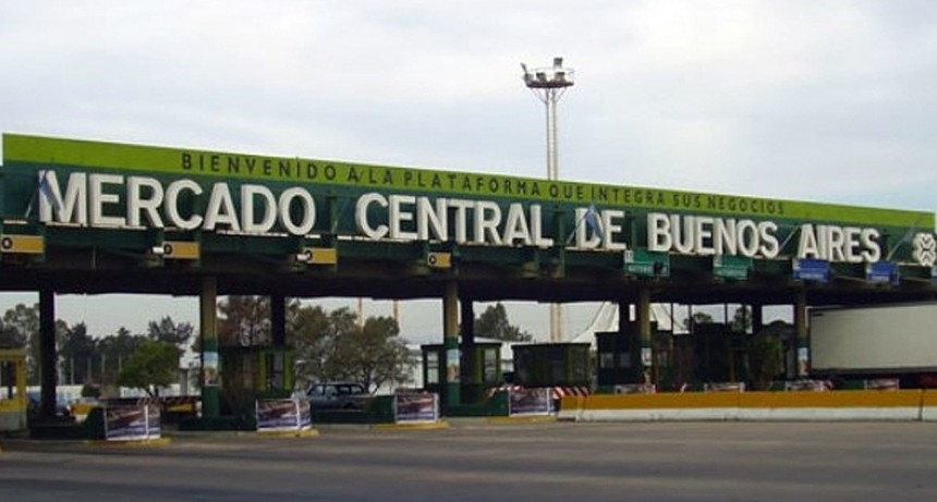 Cooperativas de alimentos sanos y agroecológicos se unieron para lanzar Alta Red