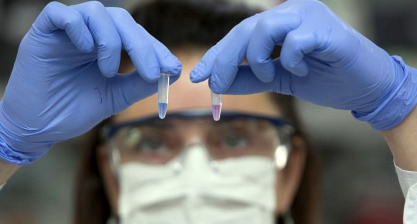 Tecnología: las mujeres representan el 40 % de los egresos y solo el 24 % de los empleos