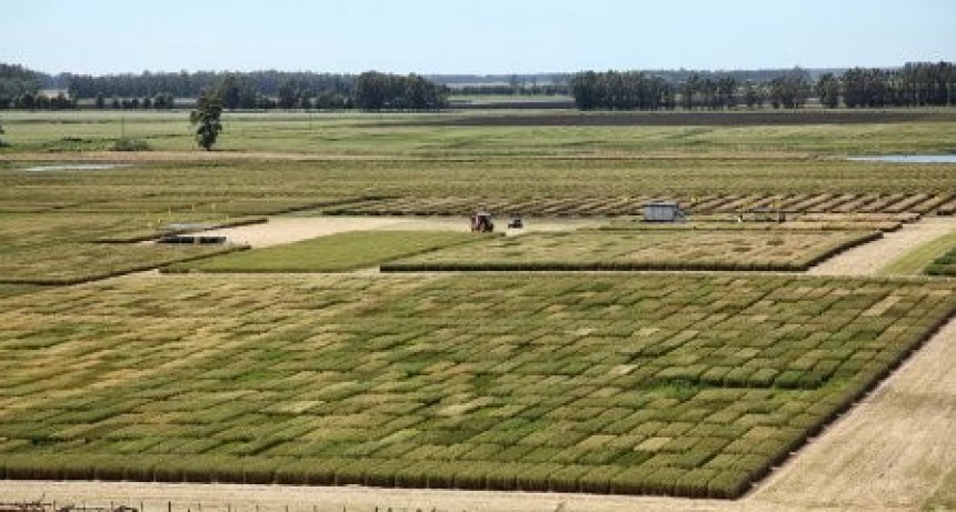 El Movimiento CREA armó InBioAgro, un proyecto para generar indicadores sobre biodiversidad