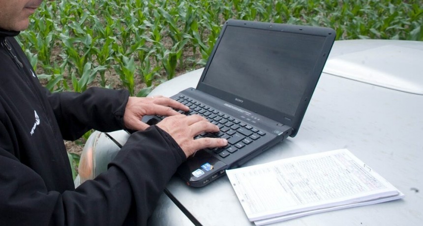 Ranking de márgenes: ¿qué cultivo entrega los mejores números en agosto? 