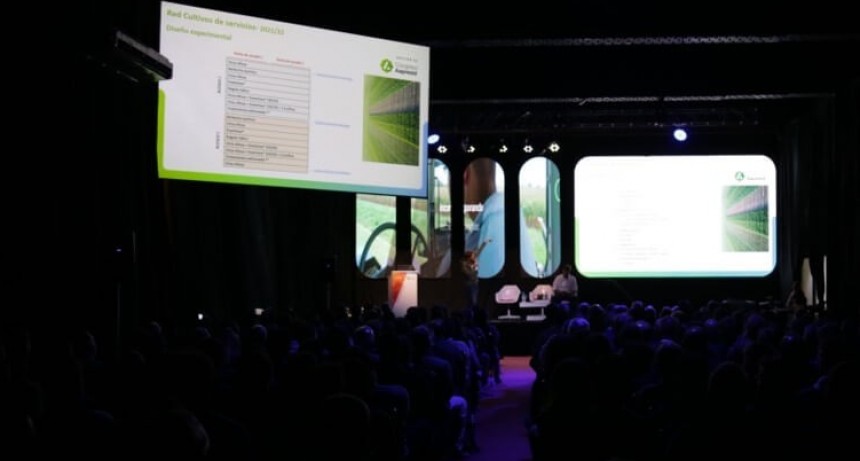 Cultivos de servicios: cuándo secarlos para obtener los mejores resultados