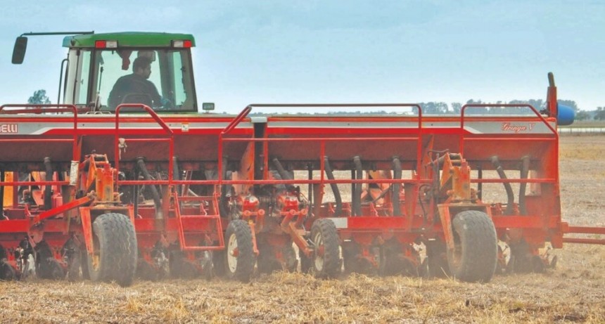 Finalizó la siembra de trigo, con una luz de esperanza por las últimas lluvias