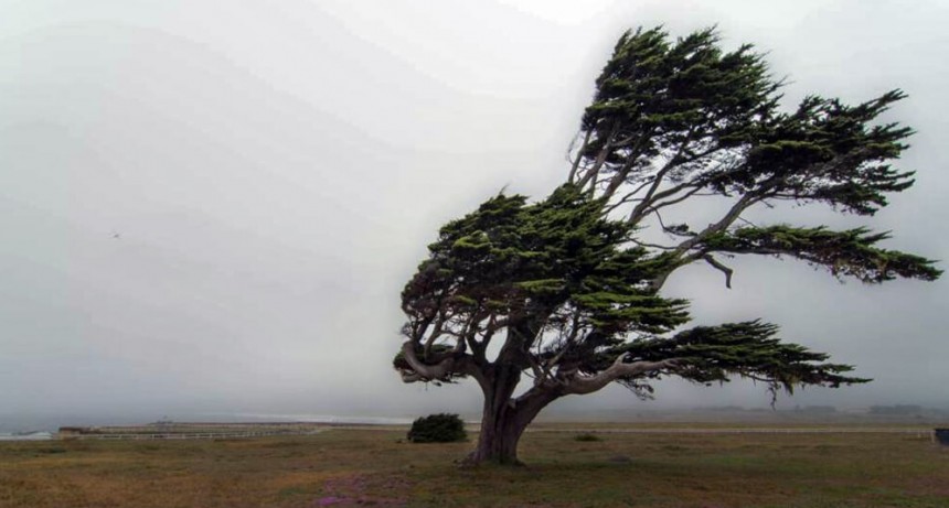 Cómo llega la “Tormenta de Santa Rosa” y qué presagia para la primavera