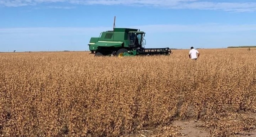 ¿Un nuevo “dólar soja” a $ 200?: exportadores niegan que ya haya una decisión tomada