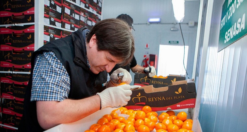 El Senasa fijó los nuevos aranceles por servicios a terceros, con subas de más del 100%