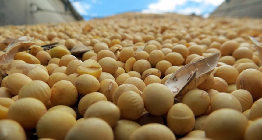 La sequía llevó a la molienda de soja a su peor primer semestre en 12 años