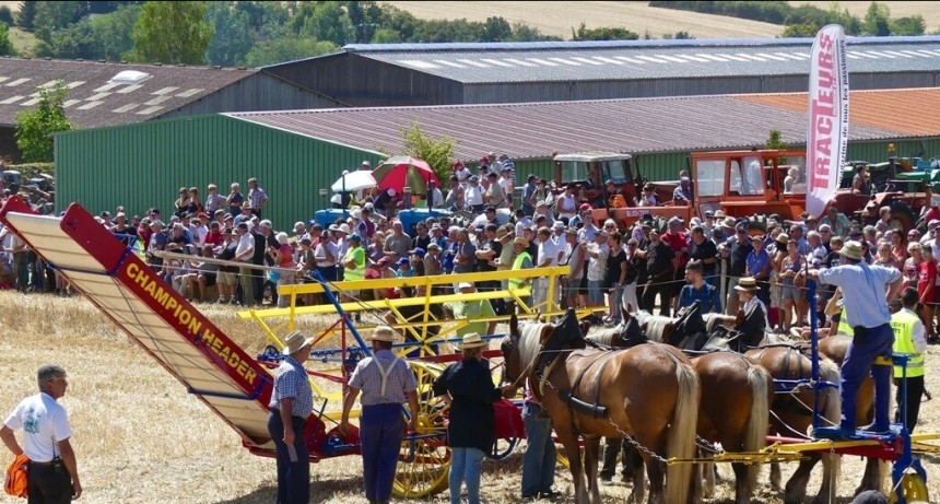 La espigadora antigua que viajó desde Argentina al museo más importante de Europa