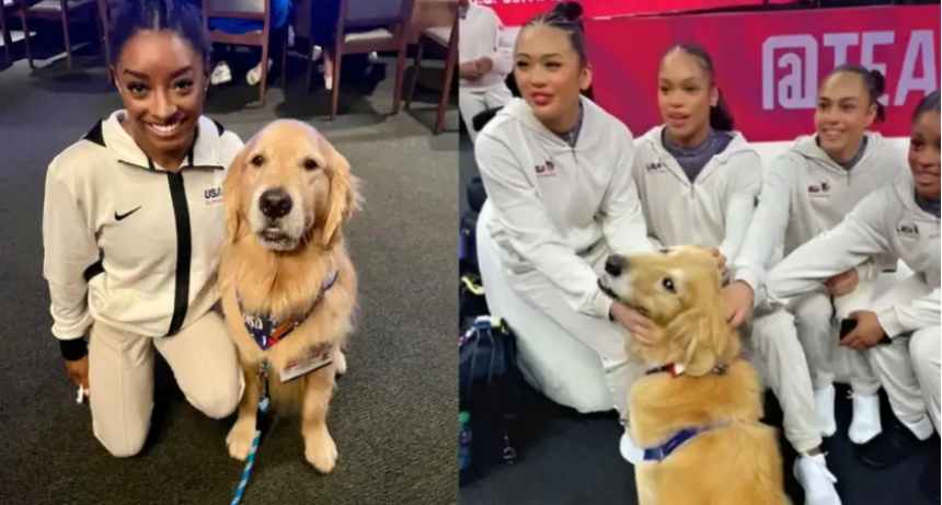 La especial historia de Beacon, el perro que acompañó al equipo de gimnasia de Estados Unidos en los Juegos Olímpicos París 2024