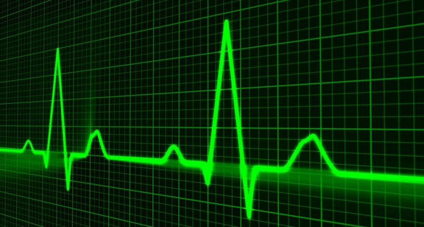 Lunes “negro” en los mercados: por qué el desplome financiero mundial podría ser bueno para el agro