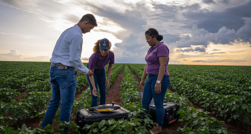 La sostenibilidad en el agro, como motor de crecimiento para nuevos mercados, productos y servicios