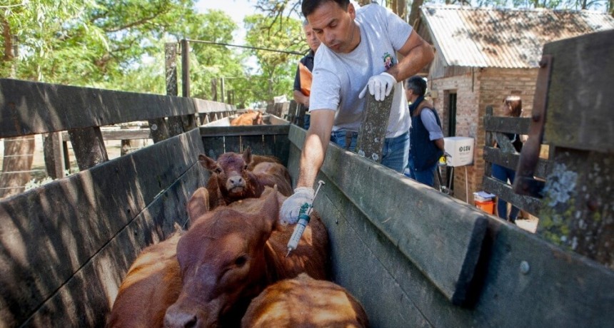 Los Juegos Olímpicos de la agroindustria: en el empleo, la ganadería se lleva la medalla de oro