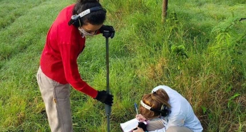 Los mapas de brechas de carbono orgánico del suelo ya están digitalizados y serán interactivos