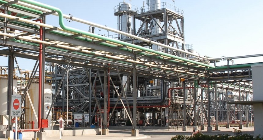 Radiografía del biodiésel en Argentina, el sexto productor a nivel mundial