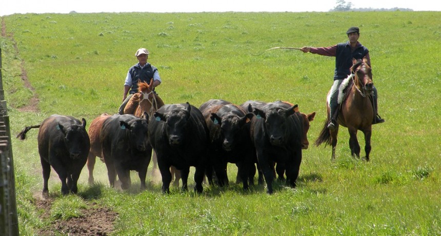 Trabajadores rurales: oficializan nuevas subas y el salario mínimo llegará a $ 675.823 en octubre