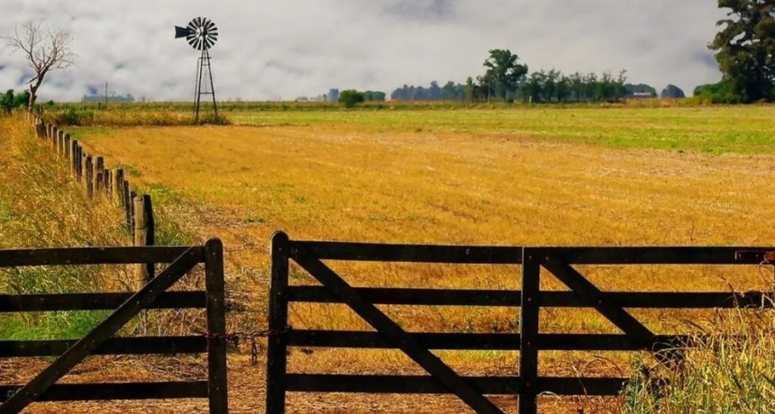 Cultivar la tierra en Argentina, un negocio de “terceros”: el 70% se hace en campos alquilados