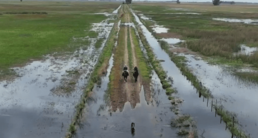 “Nos estamos ahogando”: la carta a Milei de productores inundados que ruegan por una ayuda