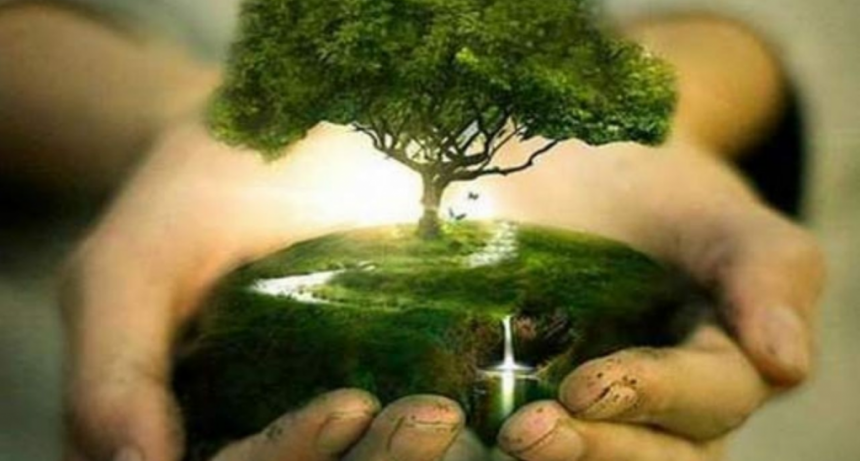 29 de Agosto – Día del Árbol: la vida que se resiste al progreso