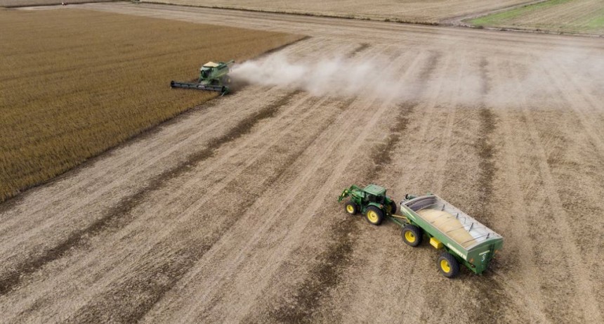 Campaña 2020/2021. Entre el retroceso de la producción y las alertas por un freno