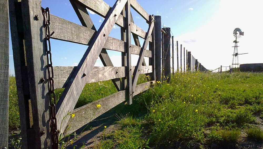Cayó nuevamente la actividad inmobiliario rural