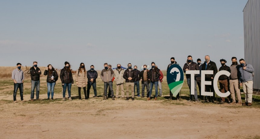 Kilos de carne por hectárea: pese a la falta de agua, lograron 10 bolsas de silo con sorgo