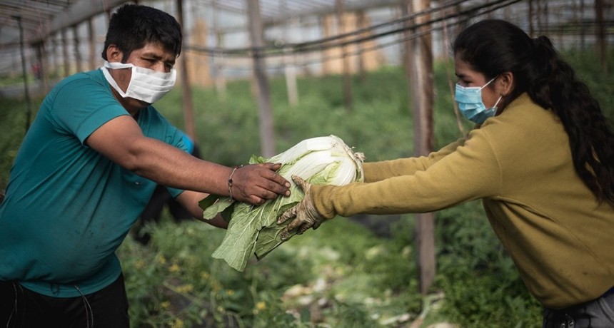 Día del Agricultor y la Agricultora: “Necesitamos acceder a la tierra”