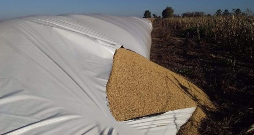 Inseguridad rural: otra vez rompieron silobolsas en Córdoba