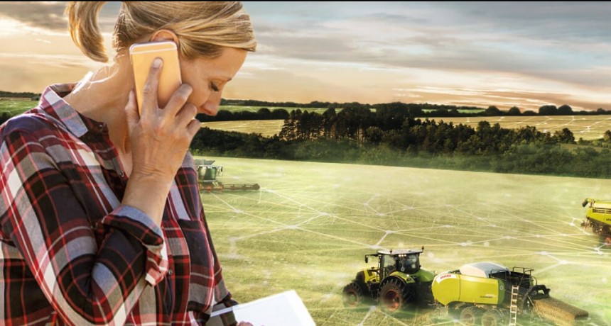 El desafío de la información: ¿cómo interpretar mil datos agrícolas en dos segundos?