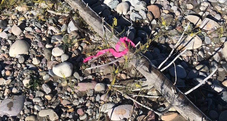 Encontraron el cuerpo de Gabby Petito, víctima de femicidio tras un viaje con su novio