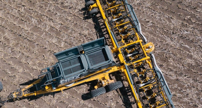 Avanza la siembra de maíz y ya alcanzó el 8,5% de la superficie estimada para este ciclo