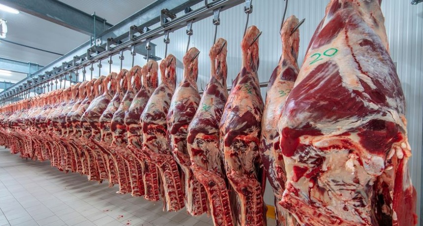 Agosto tuvo un salto en las exportaciones de carne, pero el acumulado de 2021 es menor a 2020