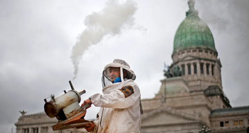Se realizó un “abejazo” en protesta por el modelo productivo