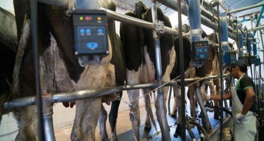 Corren por detrás de la inflación: la ecuación de los tambos vuelve a deteriorarse