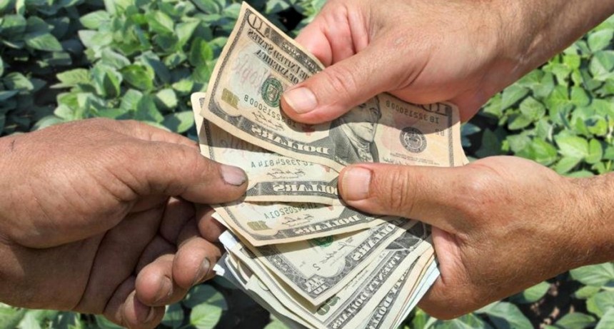 “Un nuevo relato disfrazado de beneficio”: la Mesa de Enlace de Córdoba cuestionó el ‘dólar-soja’