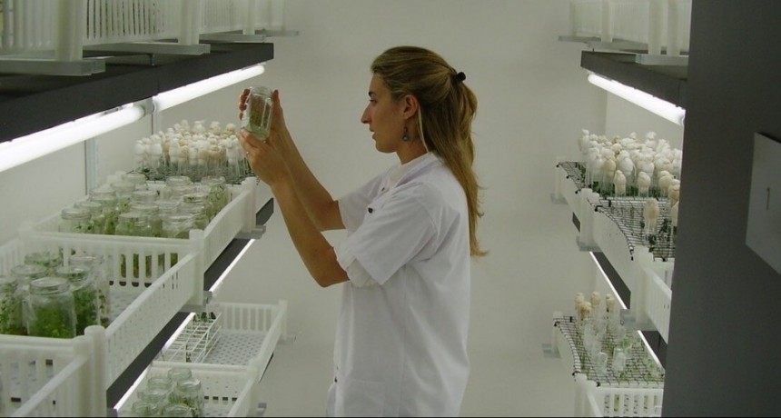 Acuerdo global: Syngenta y Bioceres se unen para desarrollar productos biológicos