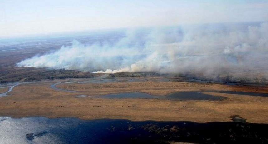 Humedales: el campo pide un debate con responsabilidad política y “sin fanatismo”