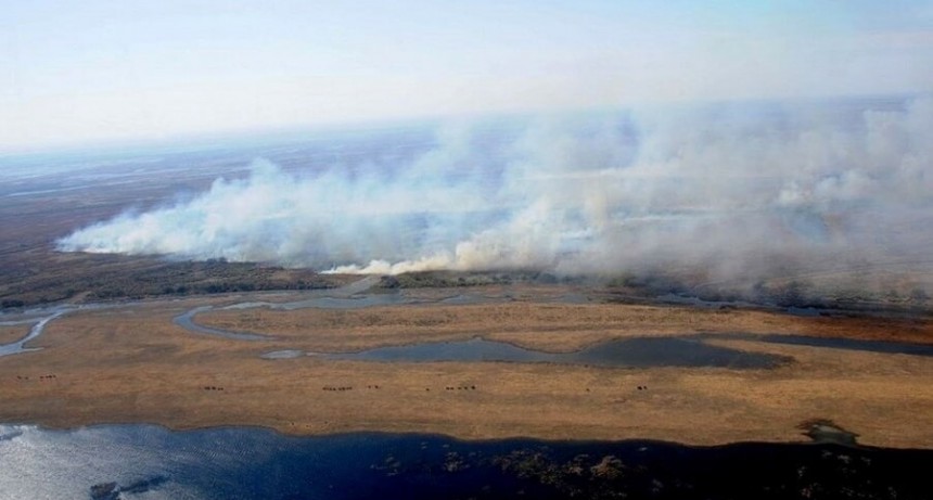 El campo llevó su opinión al Congreso por los humedales: “Una ley no apaga los incendios”