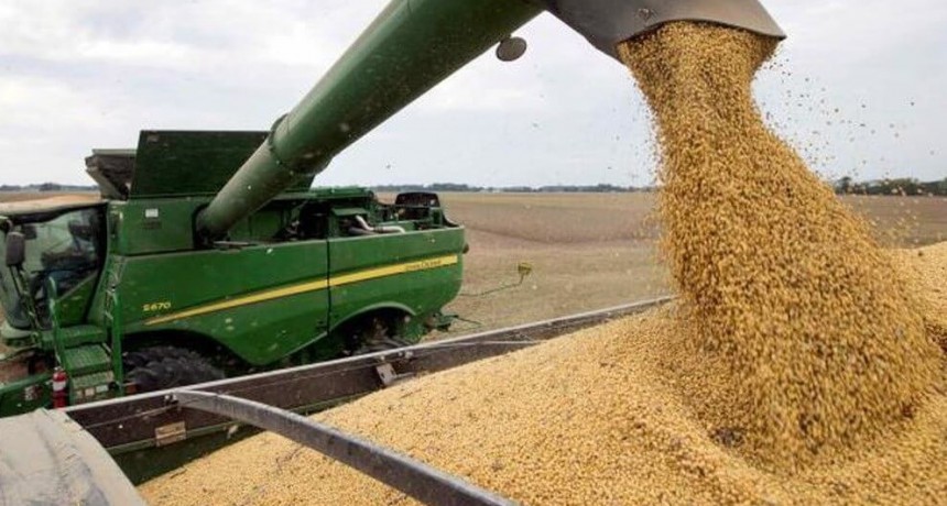 Pese a la recuperación de la soja, la campaña 2022/23 tendrá un menor aporte del campo